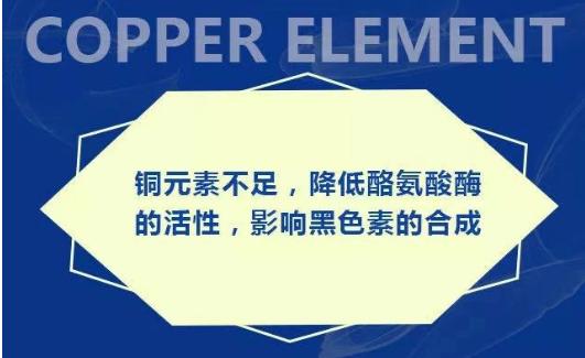 酪氨酸、銅離子相對缺乏學說